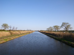 渡良瀬遊水地１