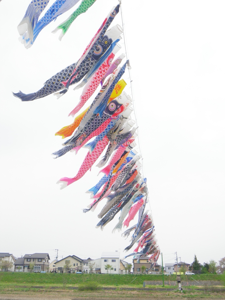 風そよぐ５月