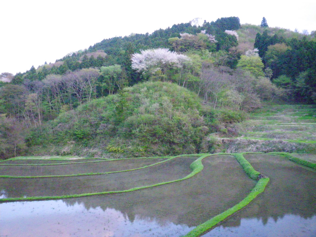 石畑の棚田