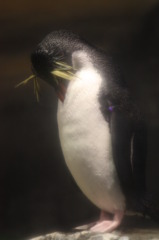 僕メタボじゃないよね。。