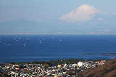 湘南国際村から