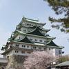 春の名古屋城