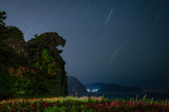 夜を駆ける