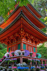 彩り