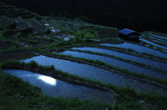 月夜の千枚田　