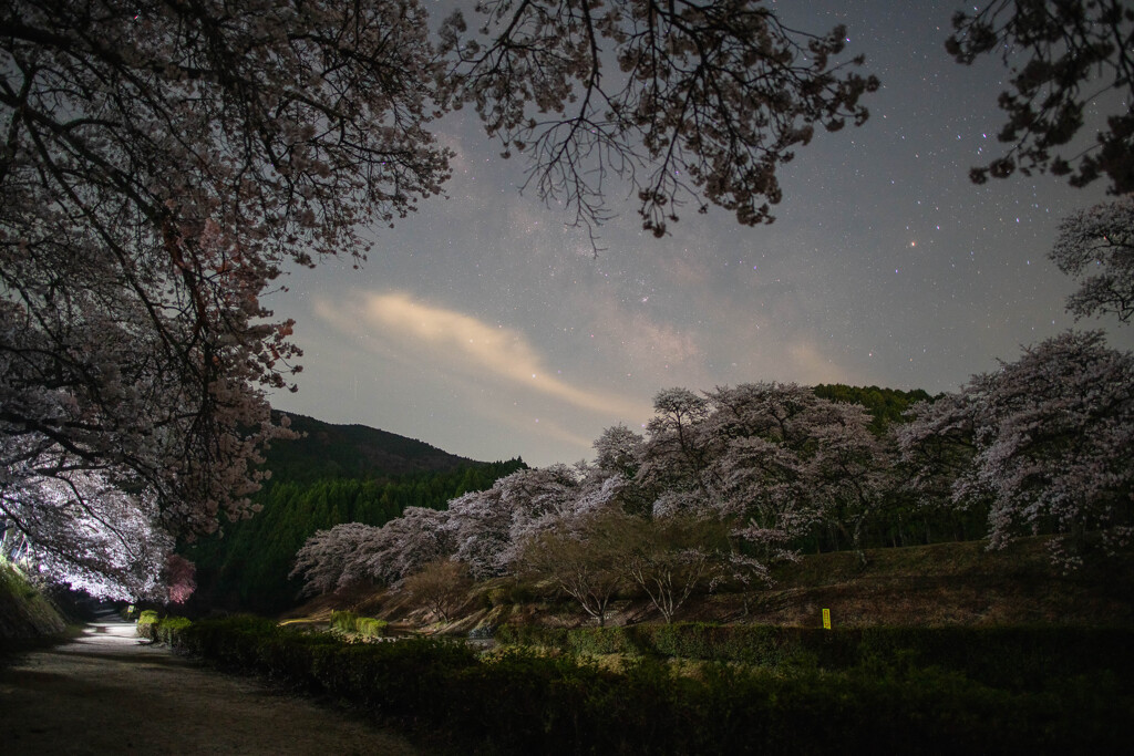 山里の春