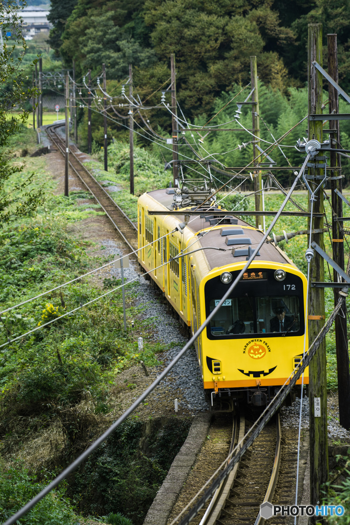 NARROWEEN TRAIN♪