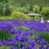 それぞれの時間