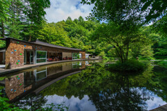 森のオアシス