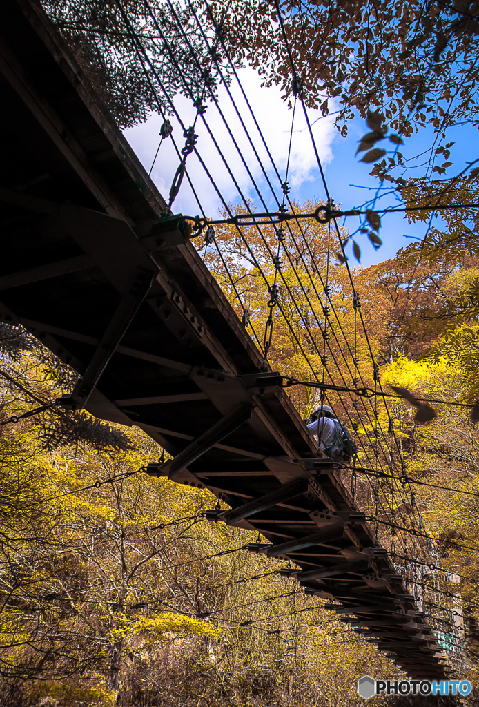 Autumn colors　Ⅲ