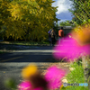 Autumn promenade 