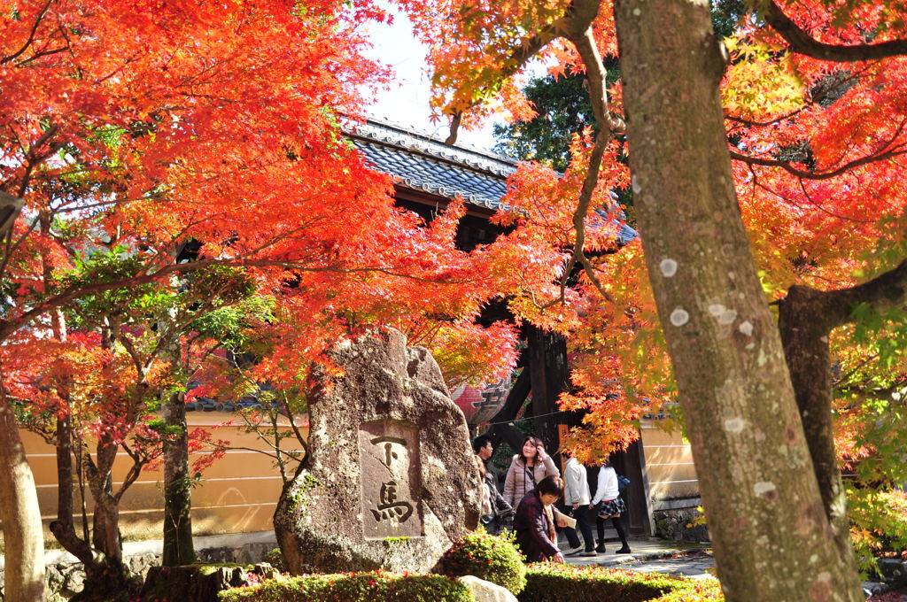 金剛輪寺　黒門