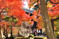金剛輪寺　黒門