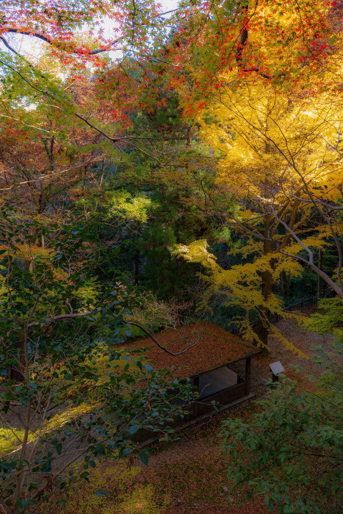 陽のあたる場所