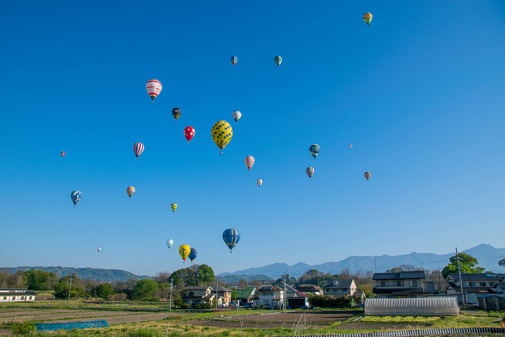 大空に舞う