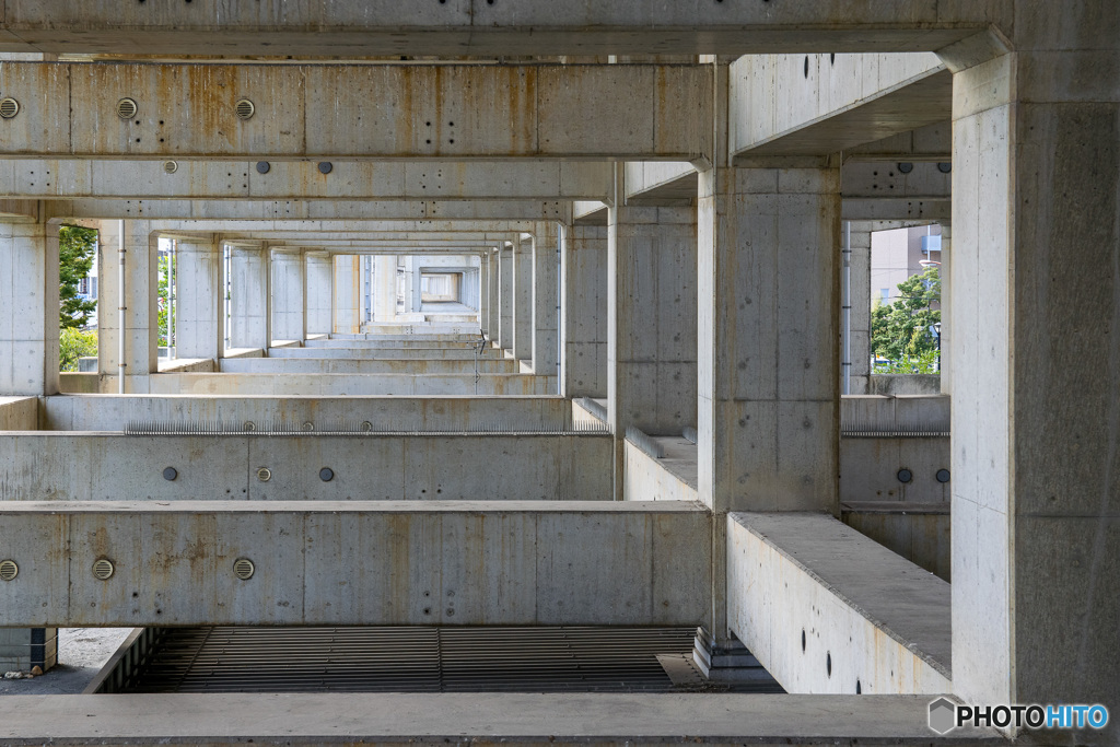 Concrete Jungle