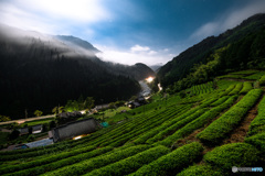 月夜の茶源郷