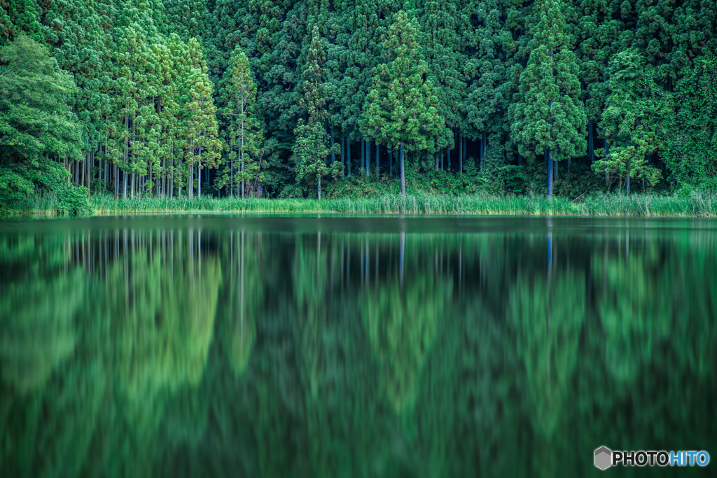 reflection #2　