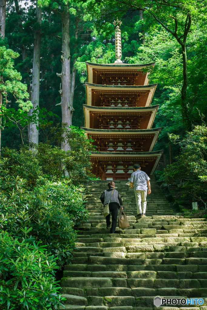 距離感