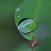 水玉あそび