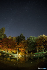 Autumn leaves and a starry sky
