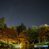Autumn leaves and a starry sky