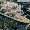 染まる中山道 *2