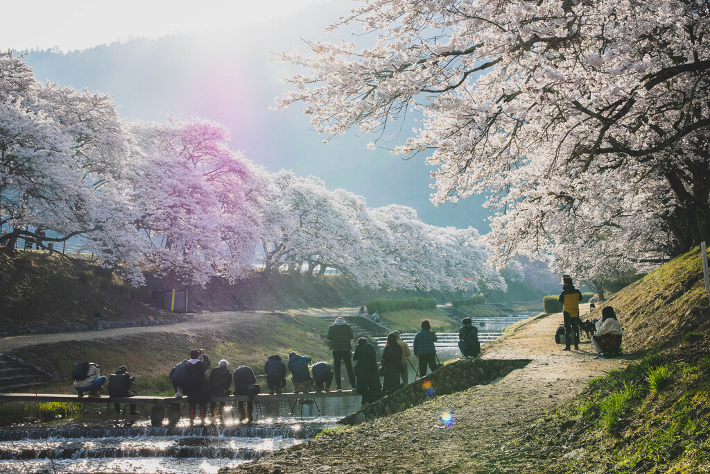 朝活