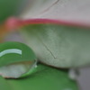 水玉あそび　その2