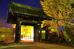 祐専寺　黒門ライトアップ