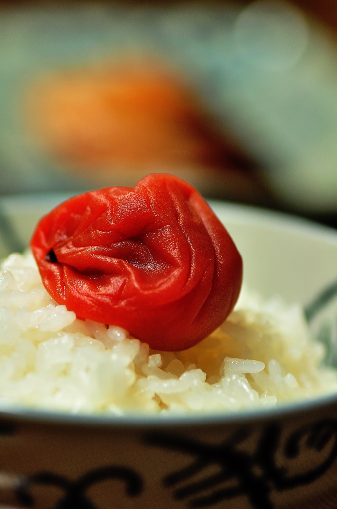 日本の食卓