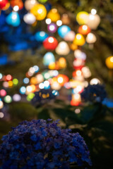 lantern night