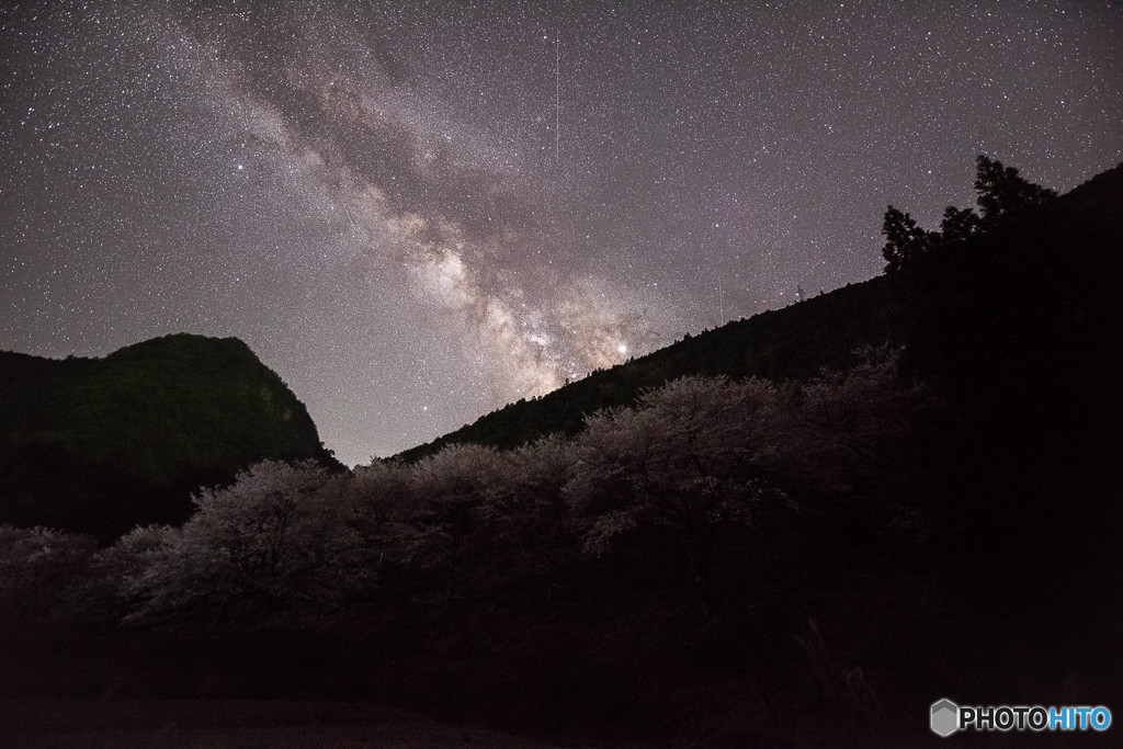 Spring view night