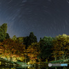 In autumn's night