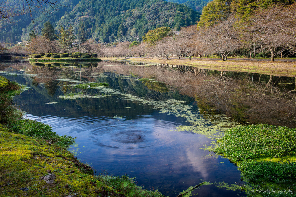 晩秋の山里