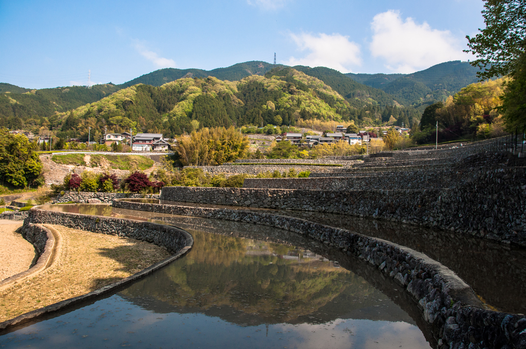 石の芸術　深野だんだん田