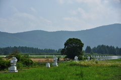 野辺山　電波ヘリオグラフ　84台