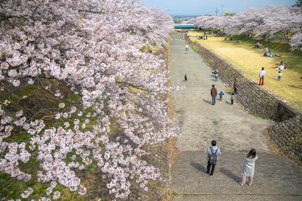 それぞれの春