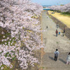 それぞれの春