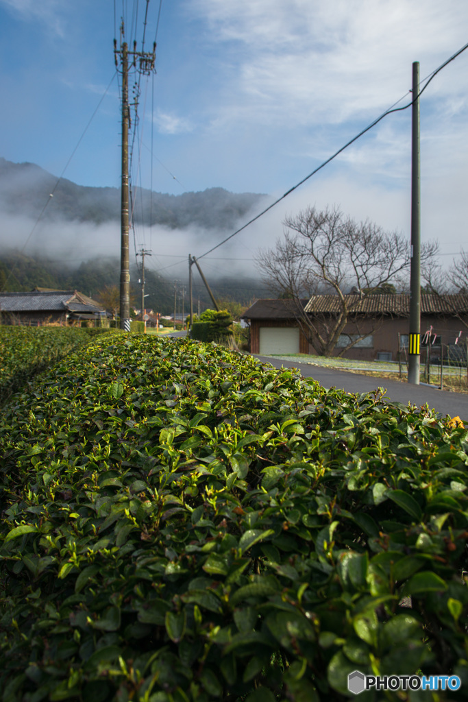 茶処山里