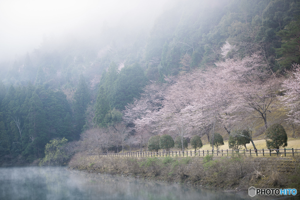 山笑ふ