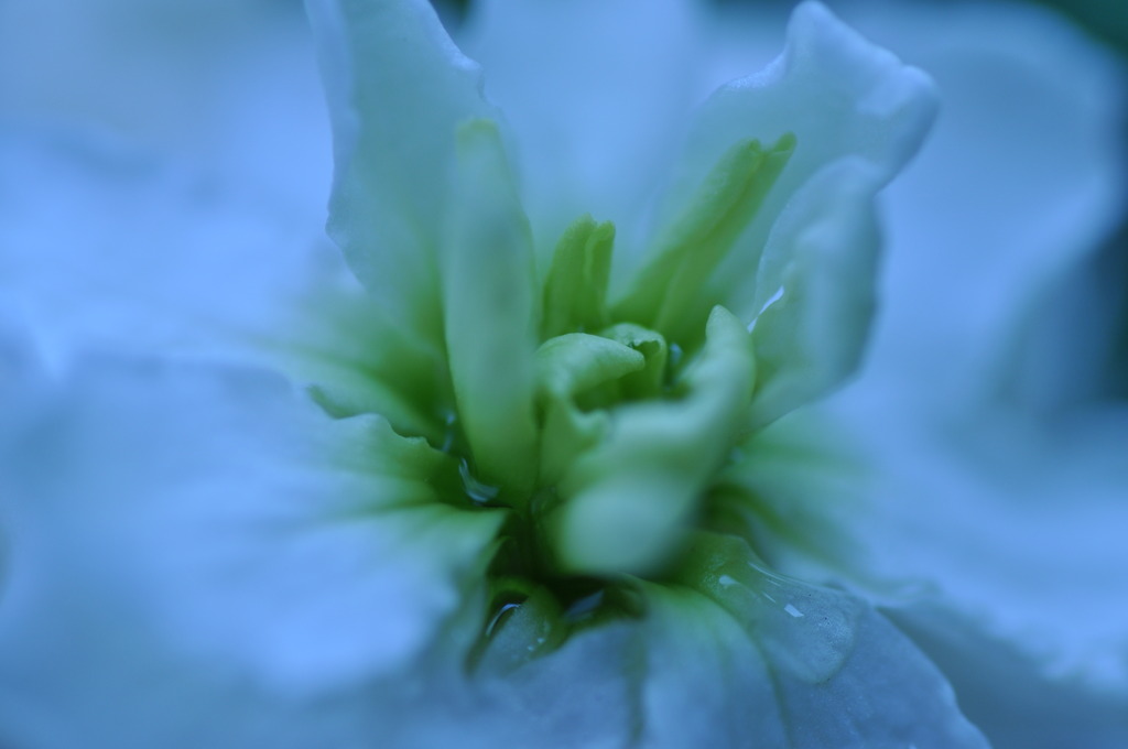 DSC_0194