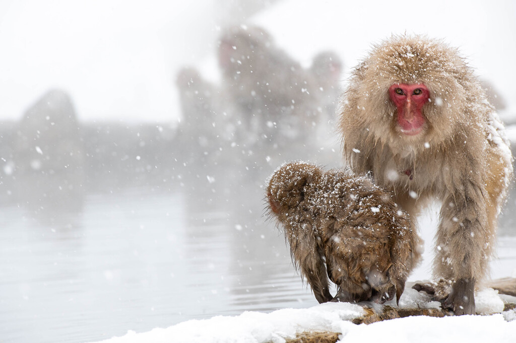 生きていくこと