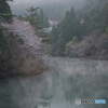 春の足音