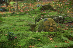 DSC_1317