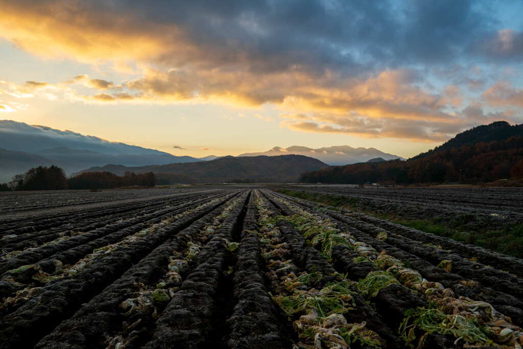 暮れましてありがとうございます。 2025