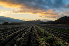 暮れましてありがとうございます。 2025