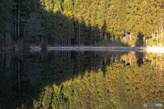 →