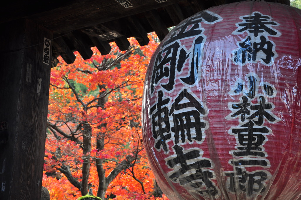 THE金剛輪寺