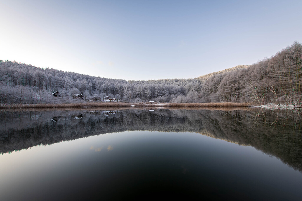 reflection